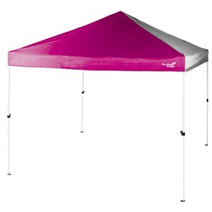 NorthEagle�ʥΡ������������ ��󥿥å�����Υԡ� 300 Neo NE154