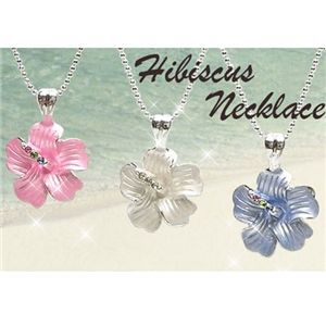 �ϥ��ӥ������ͥå��쥹 �ۥ磻��