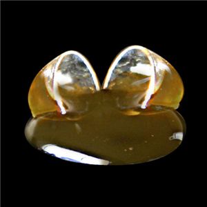 ��������60��ʬ�۶���-���ǥ��󥶥��ॷ���ƥ�