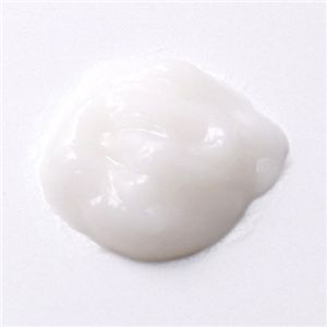 ����顼���塡�ۥ磻�ȥ��꡼��ţ�2100