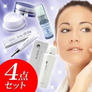 ��Х�� ����顼���� �ѡ��ե�����4�����å�