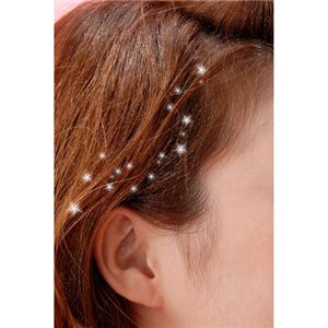 �ͥ����� ���饭�饷��S ����С�