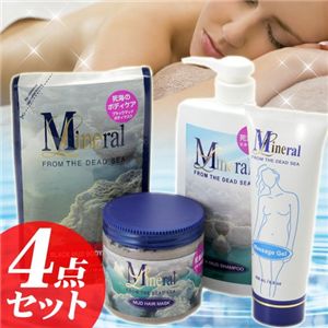 ����ǥ����� �ߥͥ��饤�� ���� 4�����å�