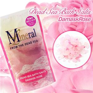 �ߥͥ��饤�� �ǥåɥ����Х������ ���ޥ���������