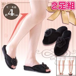 �ҡ��륢�å����ӥ���å� M������ ��2­�ȡ�