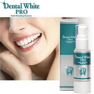 ���ѥǥ󥿥�ۥ磻�� �ץ� �ڰ��������ʡ�