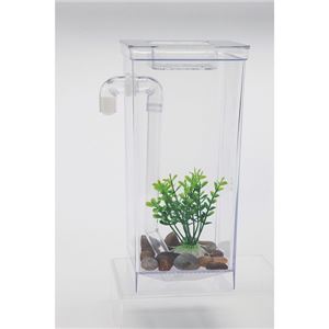 �尵�����Ѥ����饯�饯�崹������