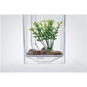 �尵�����Ѥ����饯�饯�崹������