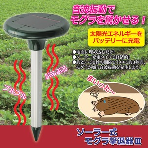 �����顼���⥰�����