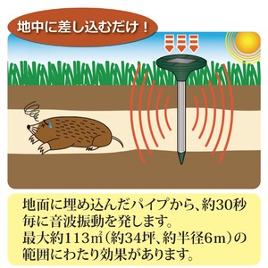 �����顼���⥰�����