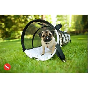 �ڥå��ѥ饰���奢�꡼�٥åɡ�PLAY�ʥץ쥤�ˡ� �ȥ�ͥ롡S������ �ۥ磻�ȥ���