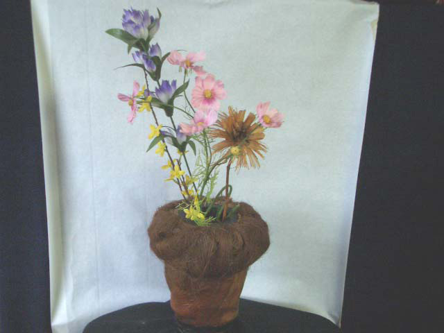 ������βִ�