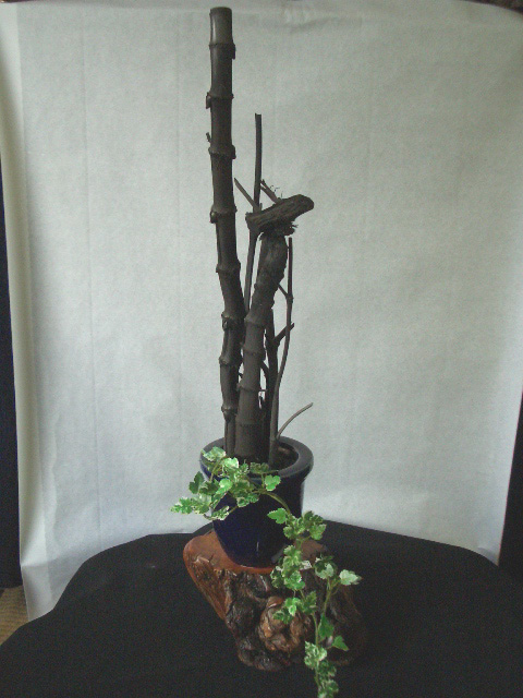 ��������ú�Υ��֥���������