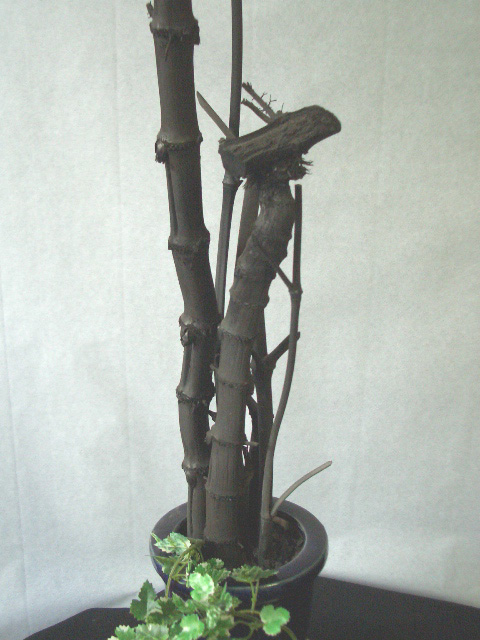 ��������ú�Υ��֥���������