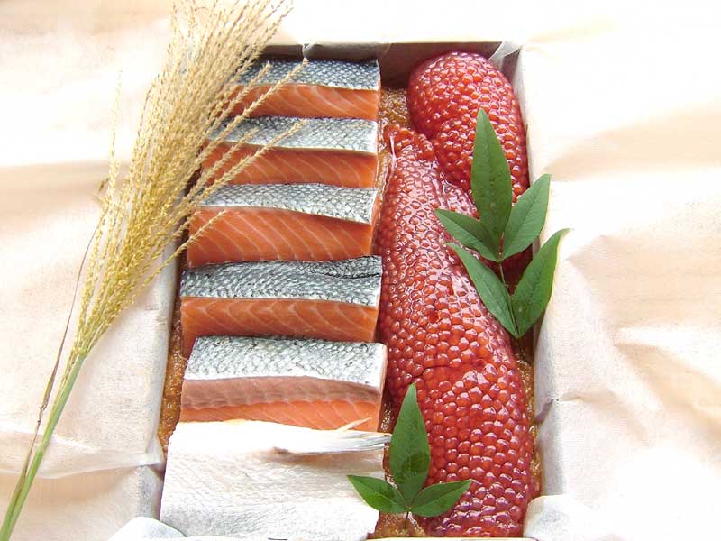 ����ľ���ʿ��㸩�ˢ������ָ��ꢡ�����οƻ��Ҥ�